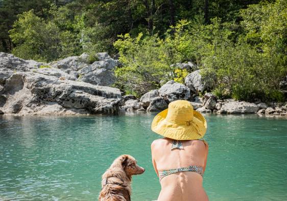 Travel Pet Destinations