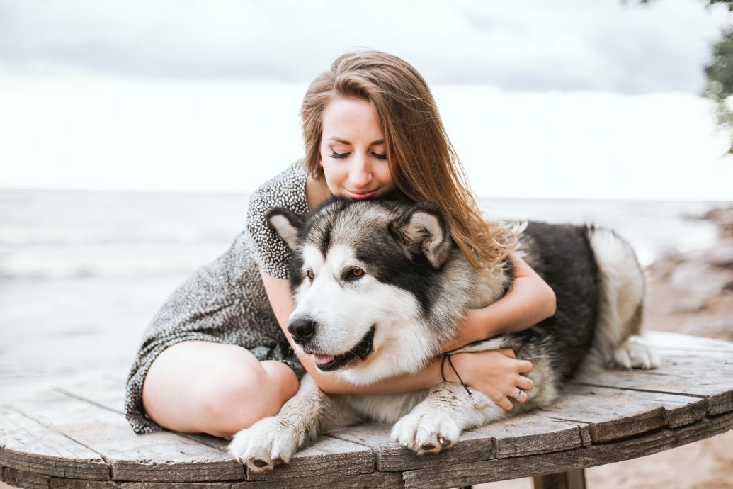 Pet Owners: Renting a Property in UK