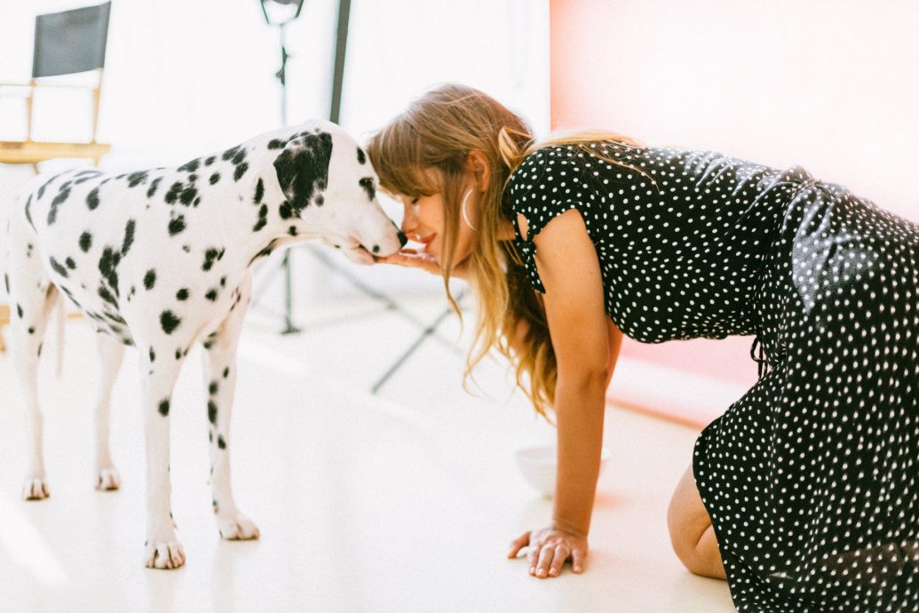Pet Owners: Renting a Property in UK