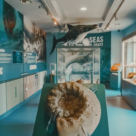 NAVI – Demisec Records Owner & Songwriter Talks About The Music Industry