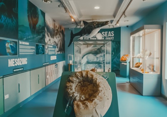 Rotunda Museum Scarborough