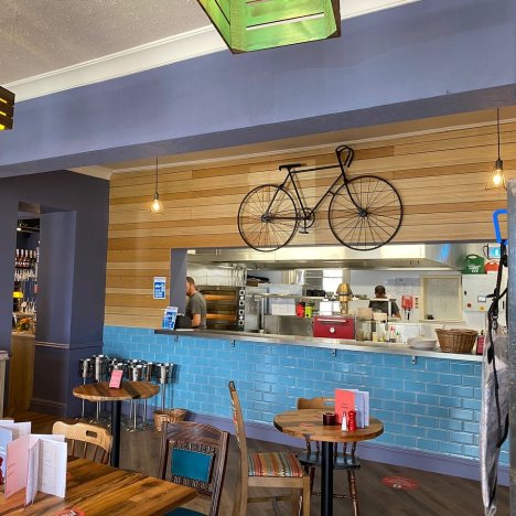 EXCLUSIVE: Edis Ichim – All About The Shar-Pei Breed