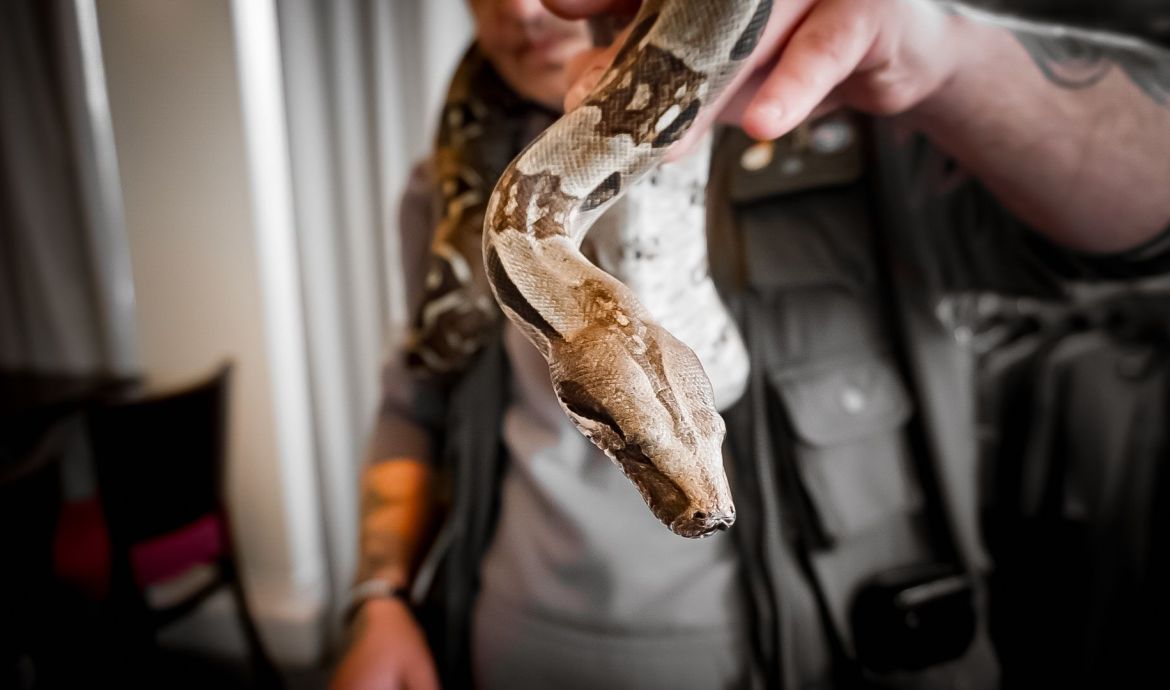 Lilly's Reptile Rescue Savour The Yorkshire Coast 2024