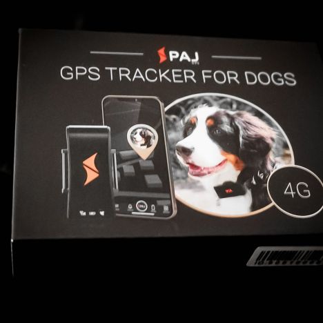 AC Green Caps: The Impact of Sustainable Fashion Trends