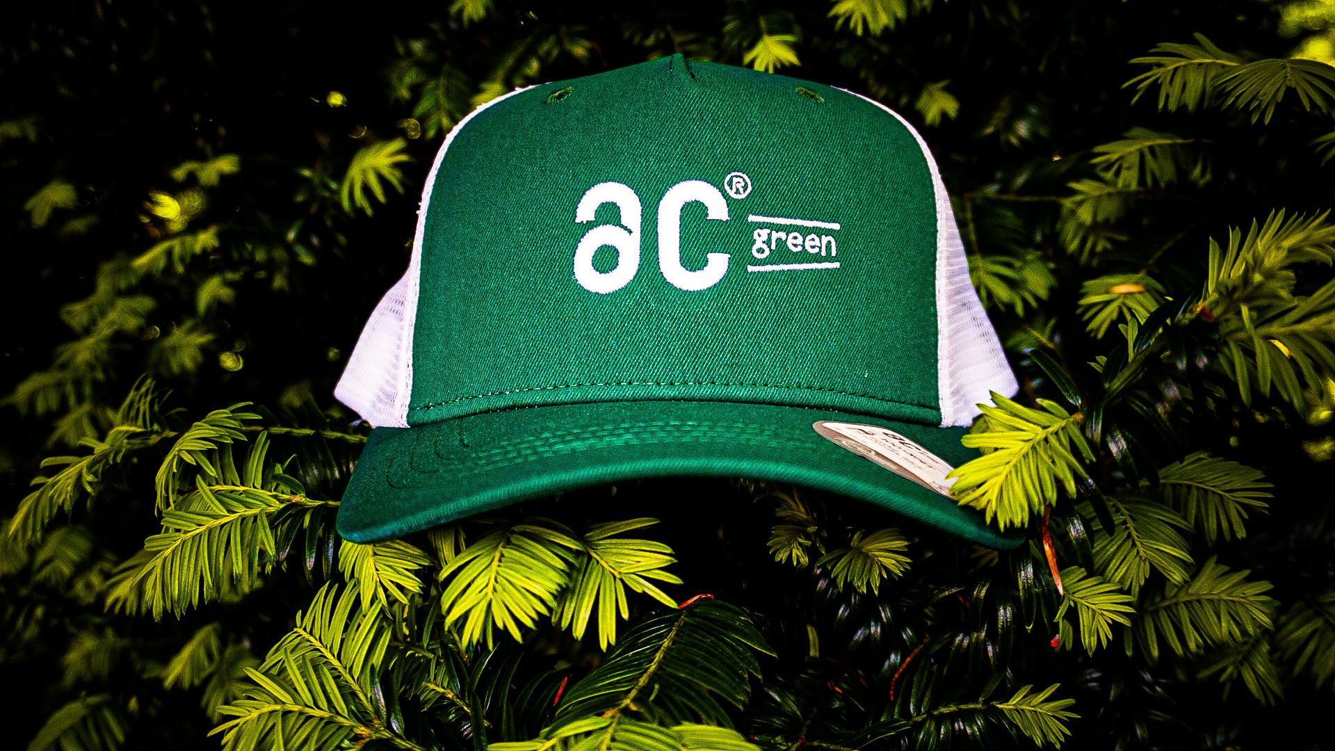 AC Green Caps: The Impact of Sustainable Fashion Trends