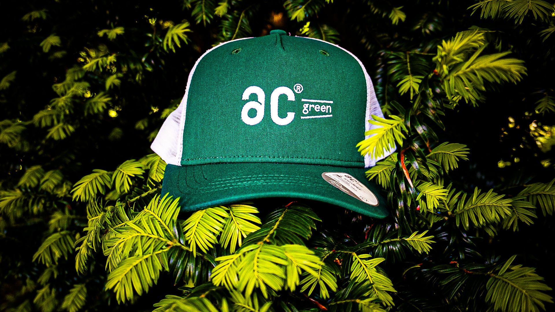 AC Green Caps: The Impact of Sustainable Fashion Trends