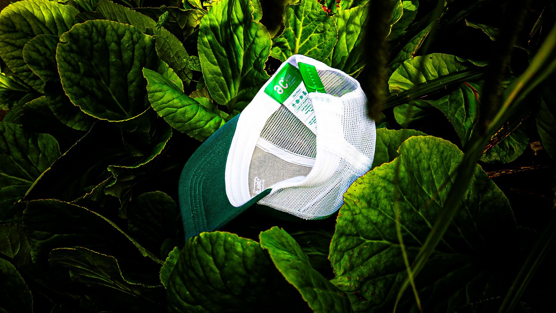 Sustainable fashion hats