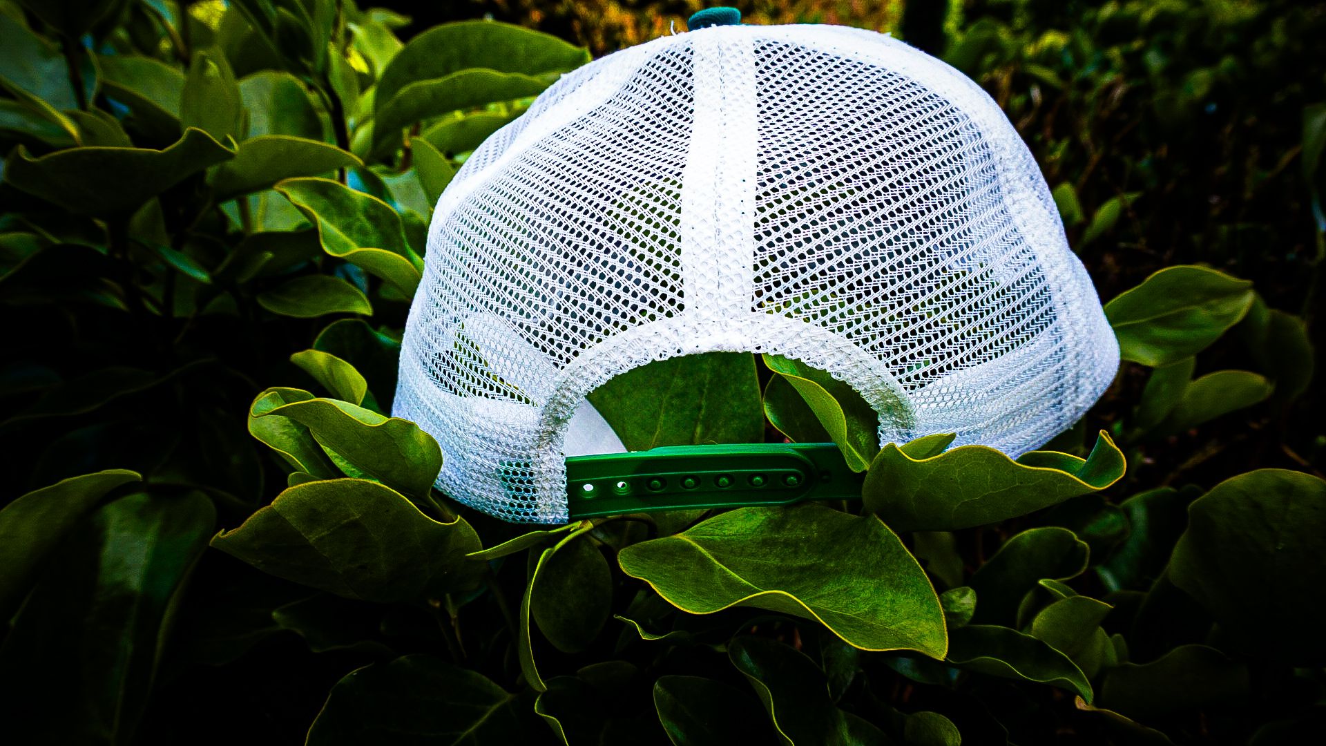 AC Green Caps Sustainable Fashion