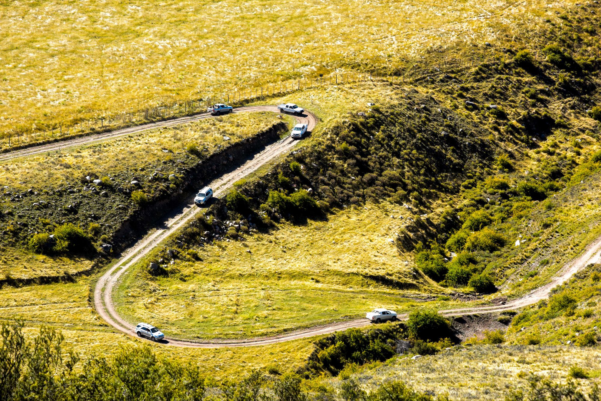 Rancho ´e Cuero Mendoza Andes Mountains