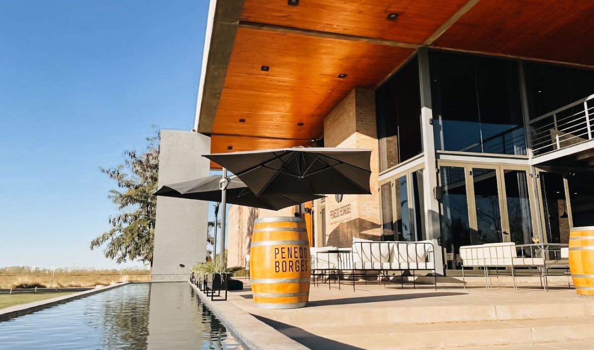 Penedo Borges Bodega Boutique Winery