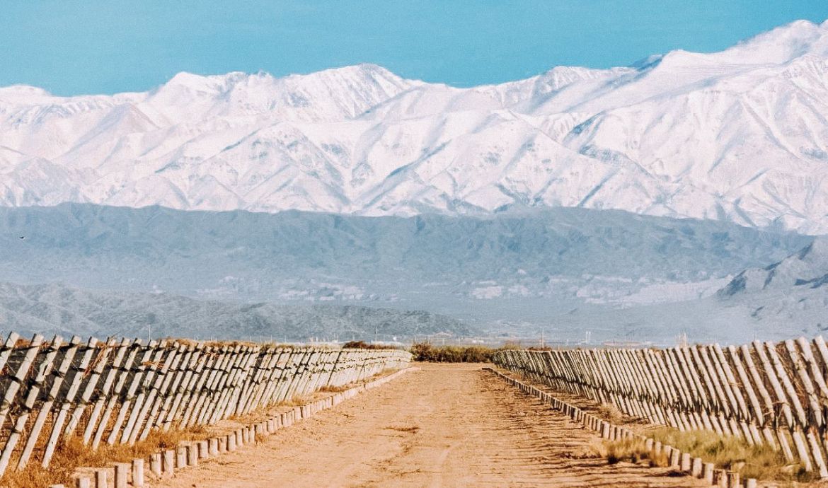 Penedo Borges Bodega Boutique Winery