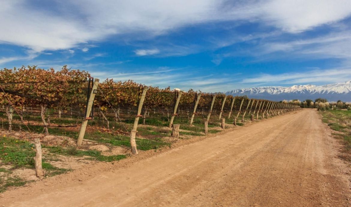 Penedo Borges Bodega Boutique Winery