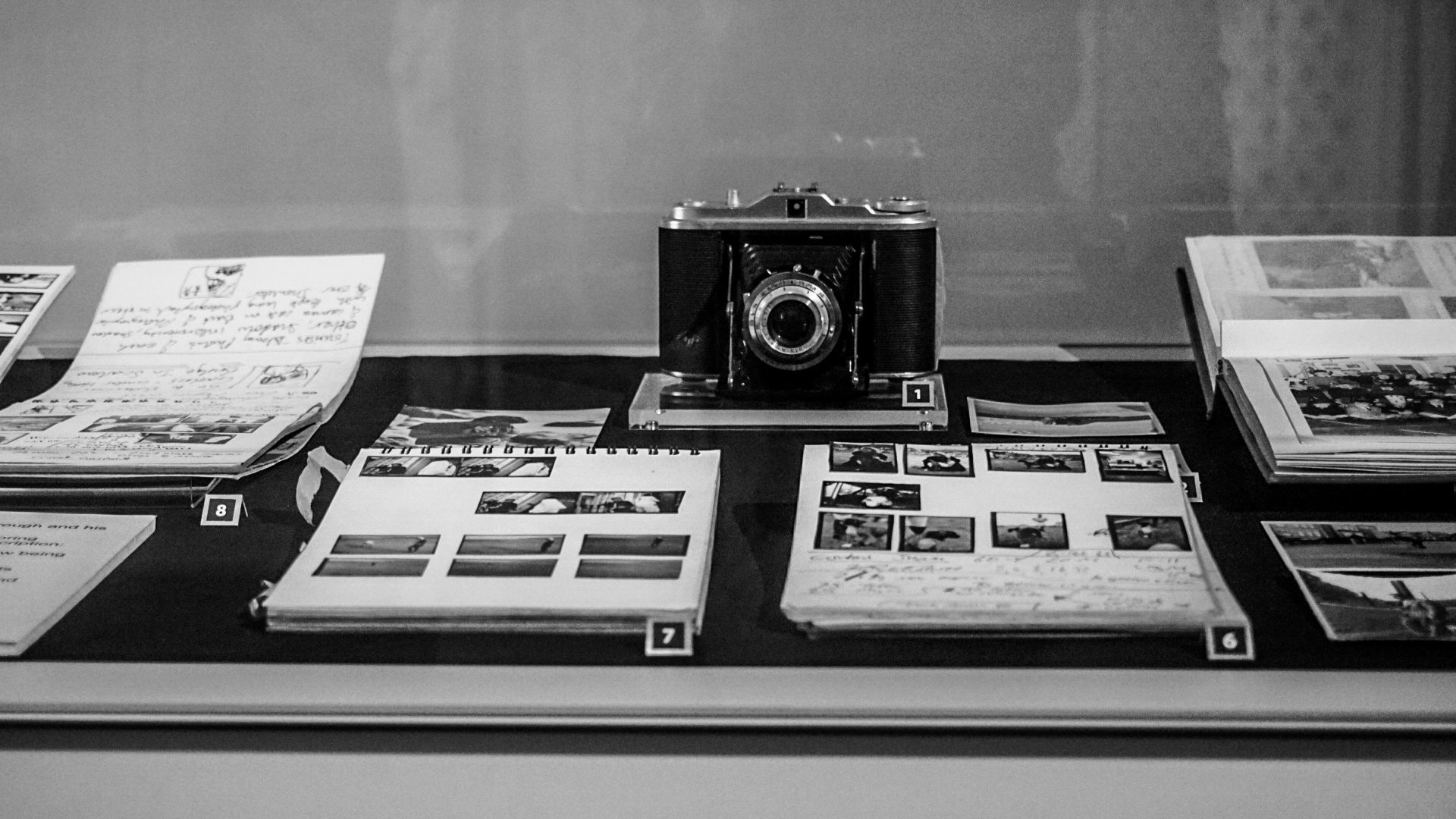 Portrait Photography