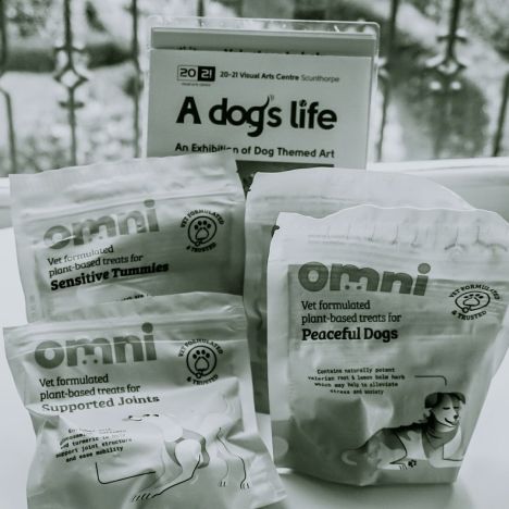 Why National Publicist Day Deserves More Recognition