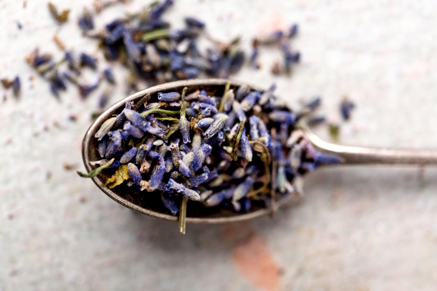 Lavender