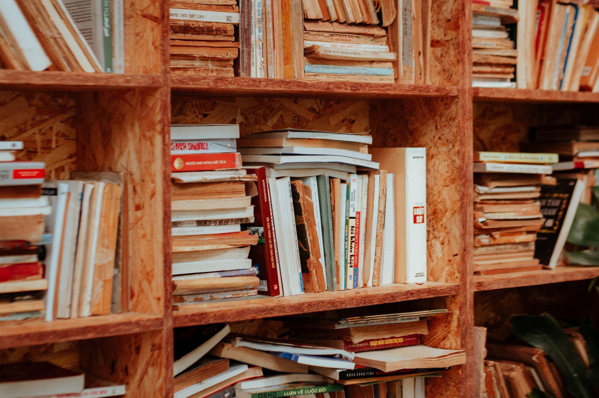 Best books to read in June