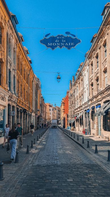 Lille Trip Highlights