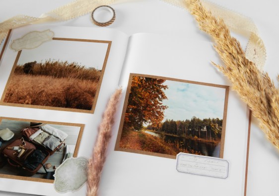 Season Illustrated Postcards
