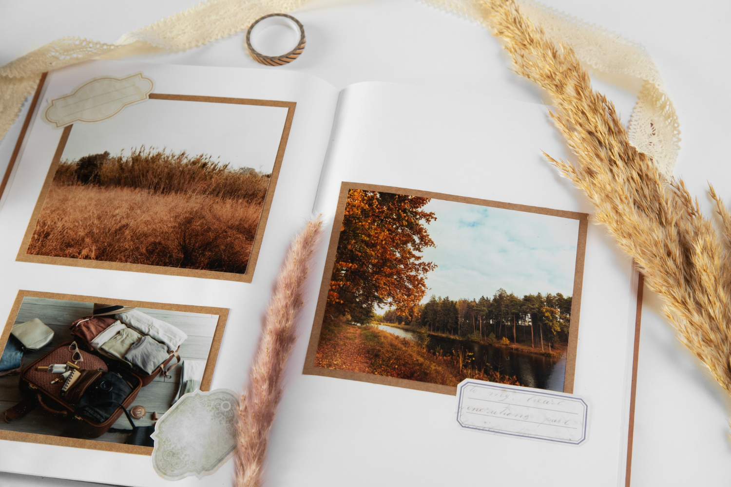 Season Illustrated Postcards